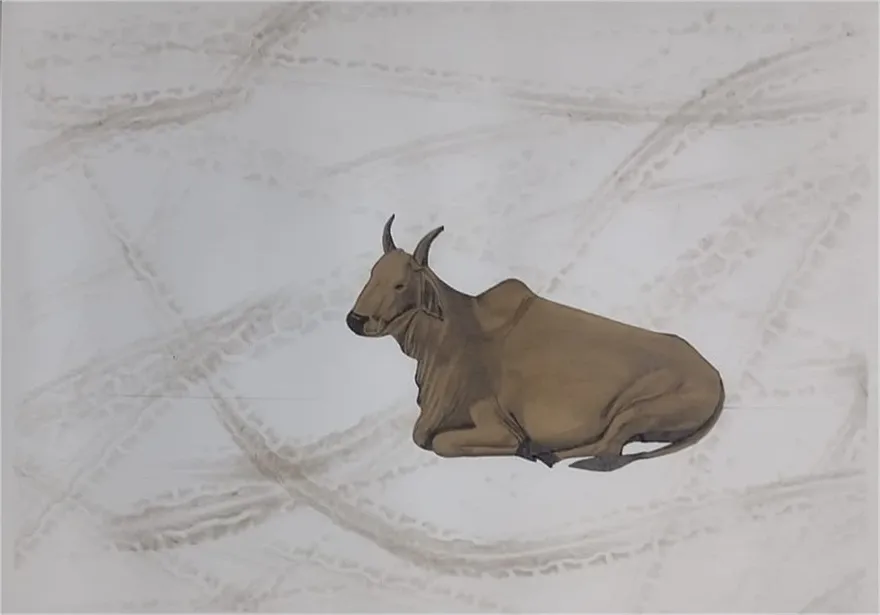 Cow in City Xll