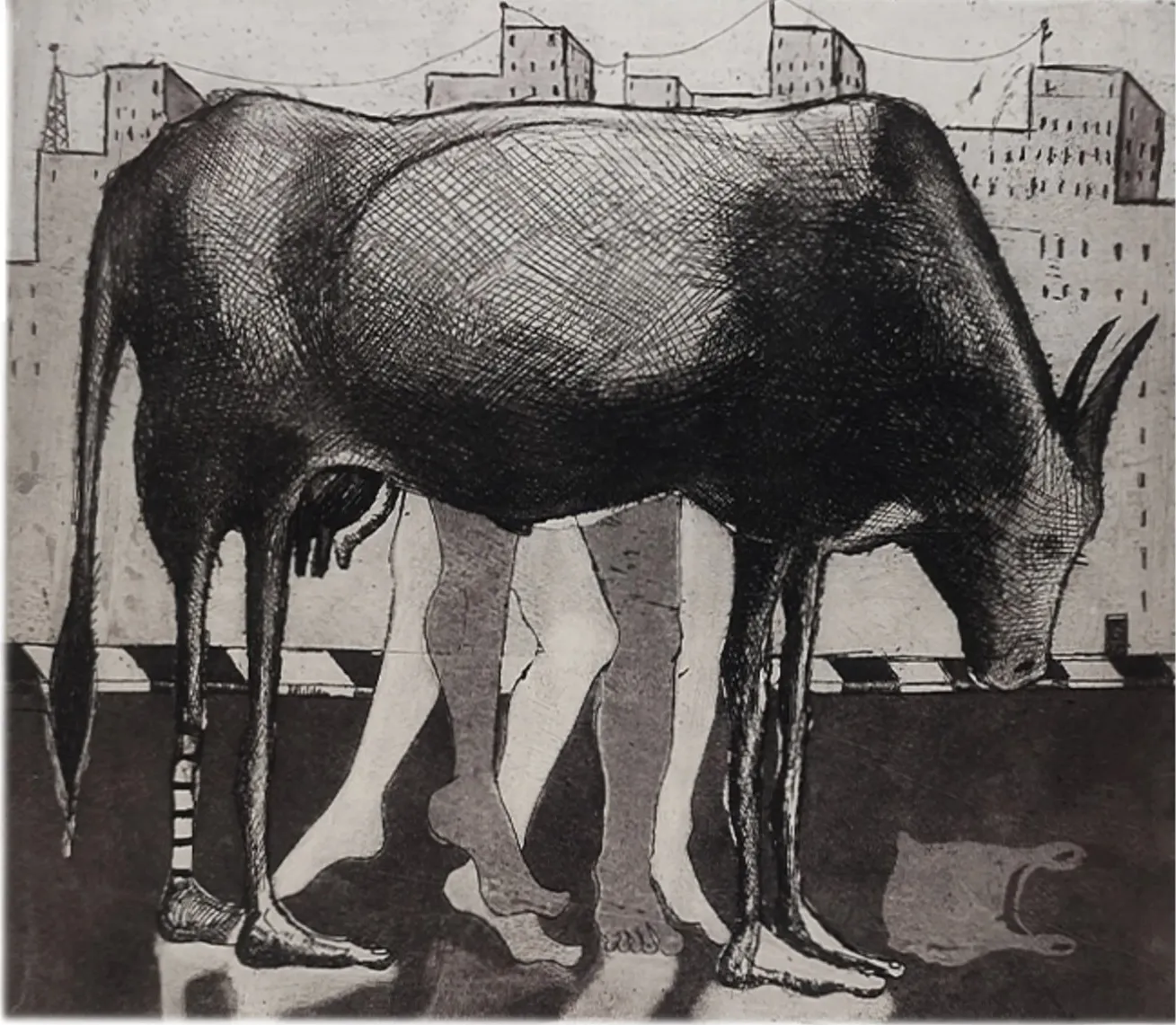 Cow in City V